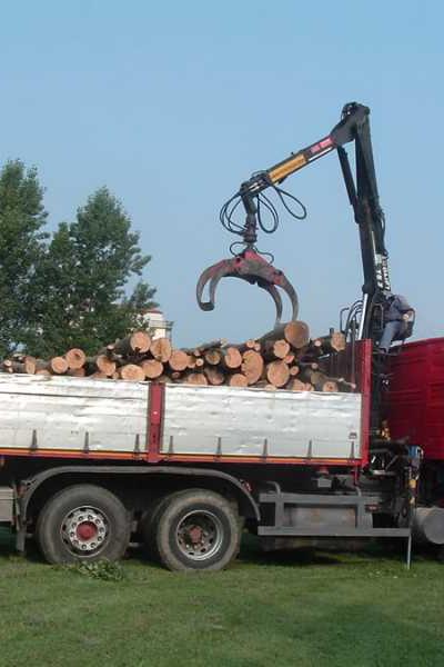 Murelli Legnami19